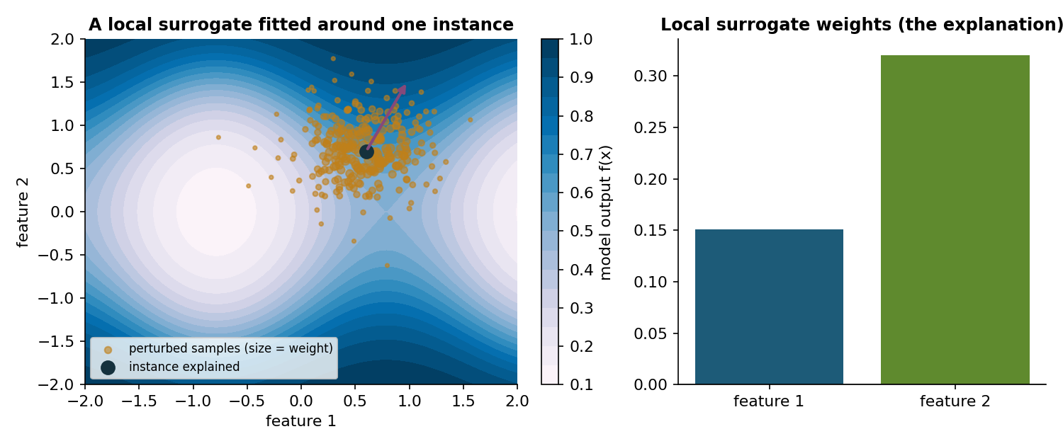 A local surrogate explanation. Perturbed samples near the instance are weighted by proximity, and a weighted linear model fitted to the model's outputs gives the local feature weights {cite:ribeiro2016}.
