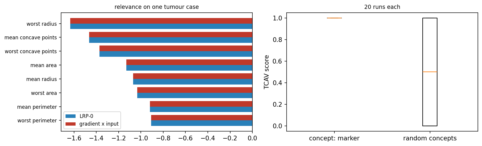 Relevance propagation against gradient times input on a tumour network, and TCAV scores of the marker concept against random concepts.